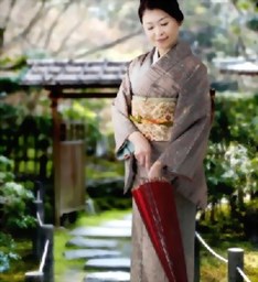Bild für Kategorie Kimono